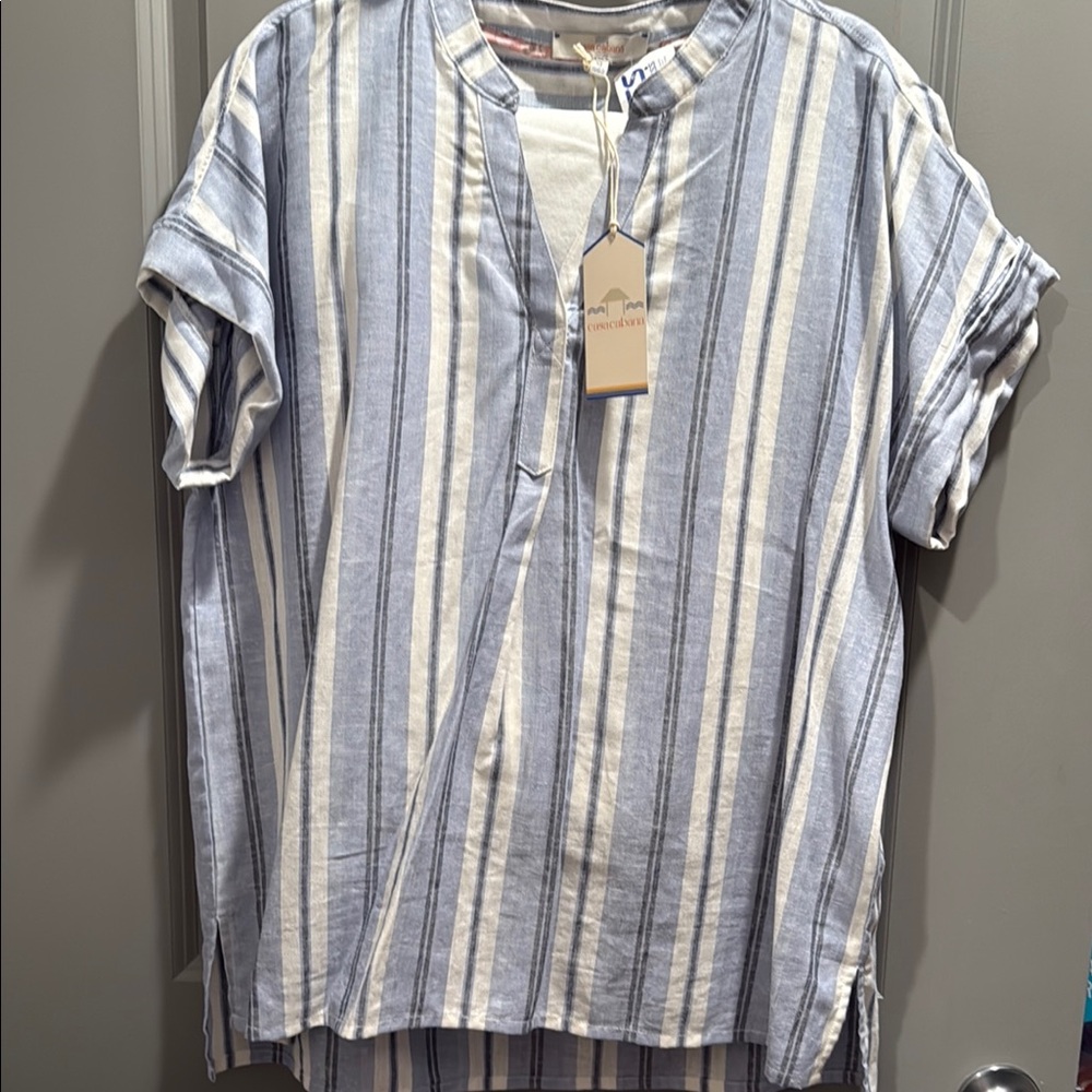 Blue and White Striped Casual Button Down Shirt